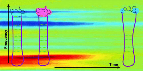 zinth_jphyschemb_2012_500.jpg