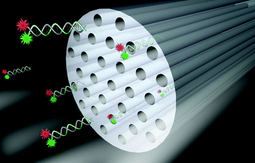 feil_nano_lett_500.jpg