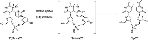 jacs-ja-2009-10917f.gif
