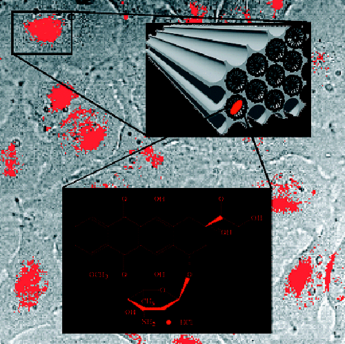 lebold_nanoletters_2009_500.gif