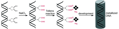 controlled_nucleation.jpg