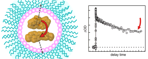 sailer_cpl_2011_micelle_5001.gif