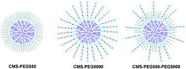 b6_pegylation_jmatchem-2010_500.gif