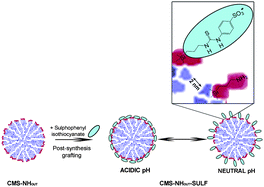 b6-delivery-kineticsjmaterchem-2010_500.gif