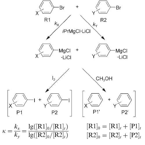 mayr_knochel_relative_500.jpg